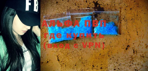 винт Дмитров