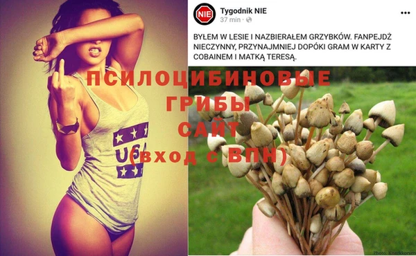 мефедрон мука Дмитриев