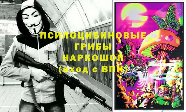 ГАЛЛЮЦИНОГЕННЫЕ ГРИБЫ Дмитровск