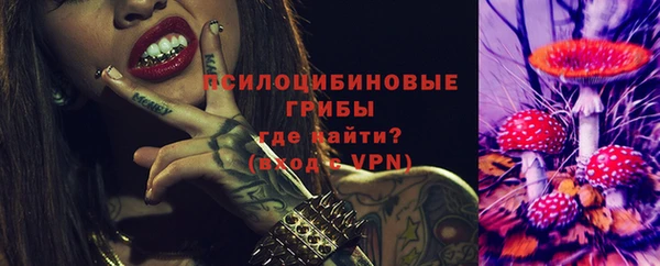 винт Дмитров