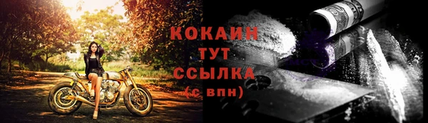 винт Дмитров