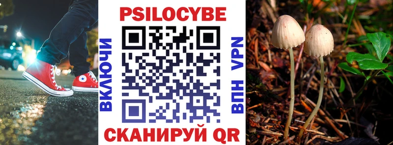 Псилоцибиновые грибы Psilocybe  Купить  Кировград 